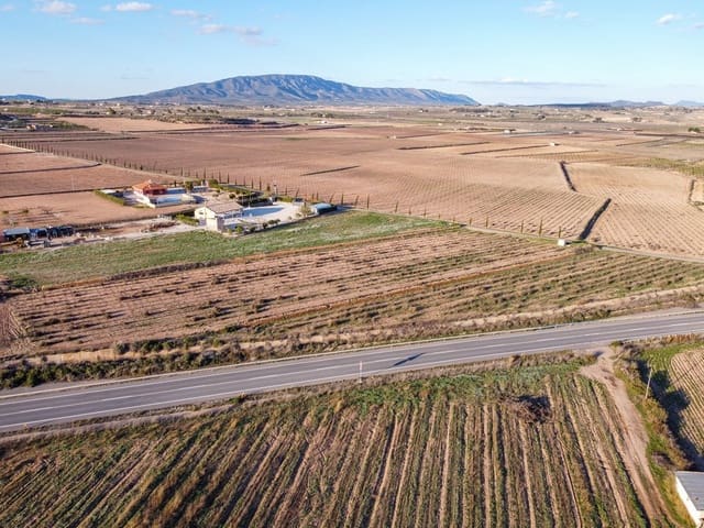 Undeveloped Land for sale in Pinoso - € 45,000 (Ref: 9688618)