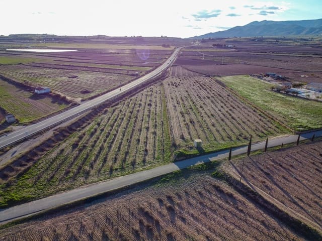 Undeveloped Land for sale in Pinoso - € 45,000 (Ref: 9688618)