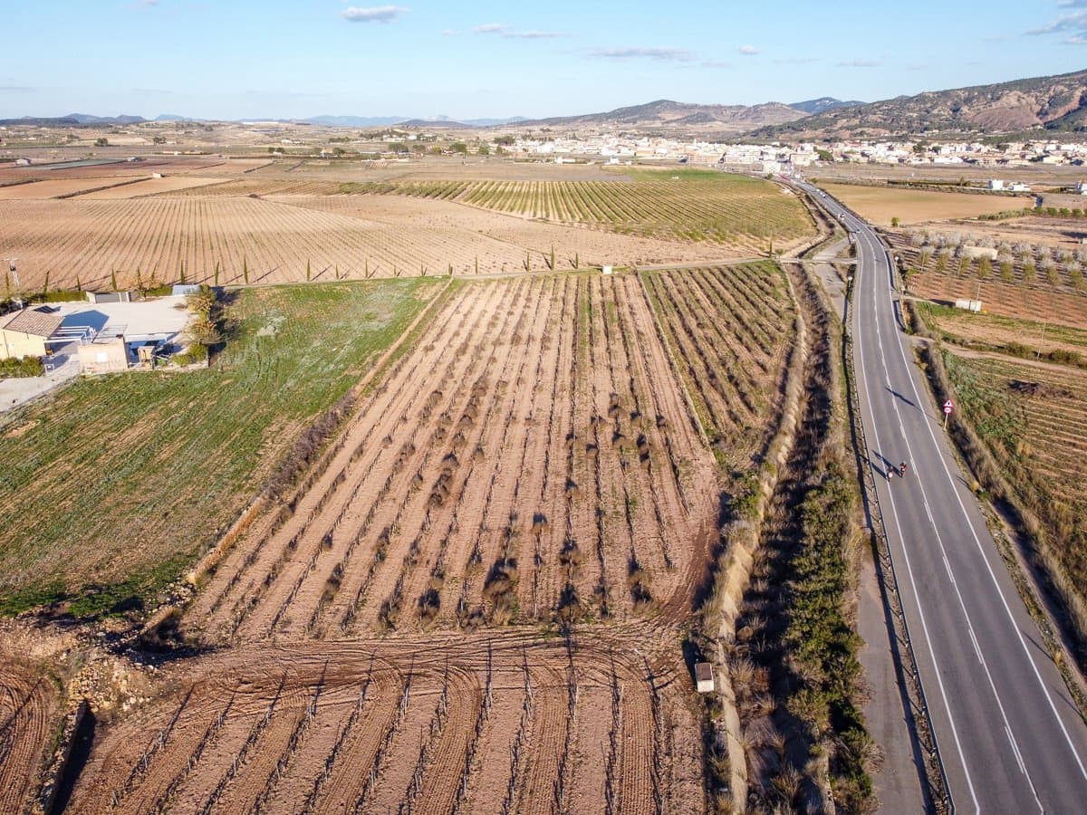 Undeveloped Land for sale in Pinoso - € 45,000 (Ref: 9688618)
