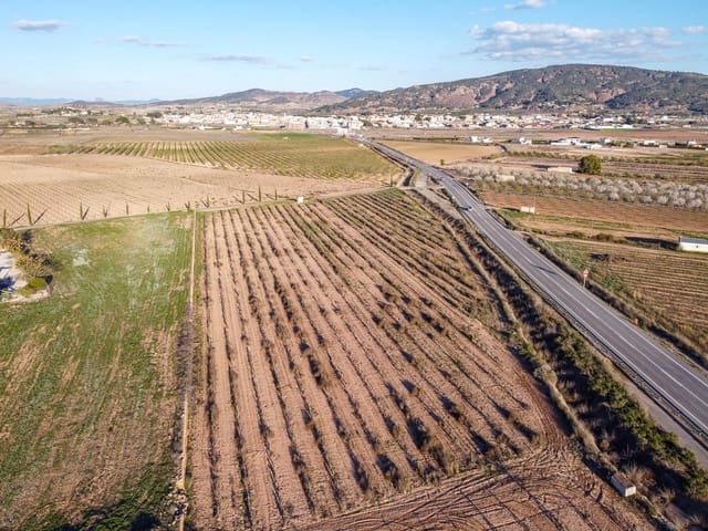 Undeveloped Land for sale in Pinoso - € 45,000 (Ref: 9688618)