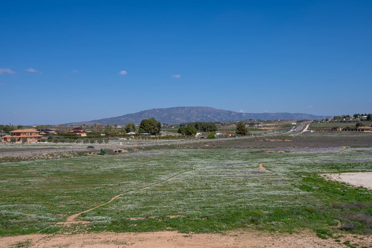 3 bedroom Apartment for sale in Pinoso with pool - € 149,950 (Ref: 9723881)