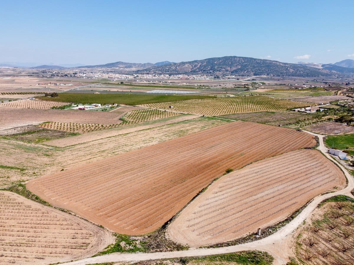 Rakentamaton maa myytävänä paikassa Pinoso - 111 196 € (Ref: 9730722)