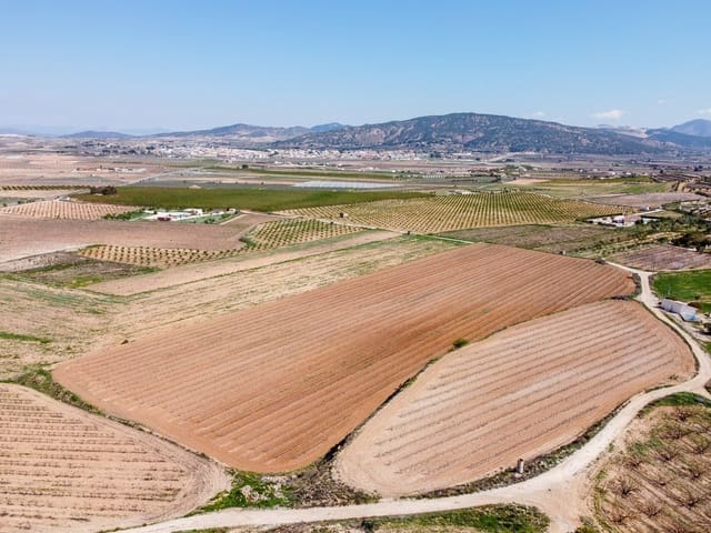 Terreno/Finca Rústica en Pinoso en venta - 111.196 € (Ref: 9730722)