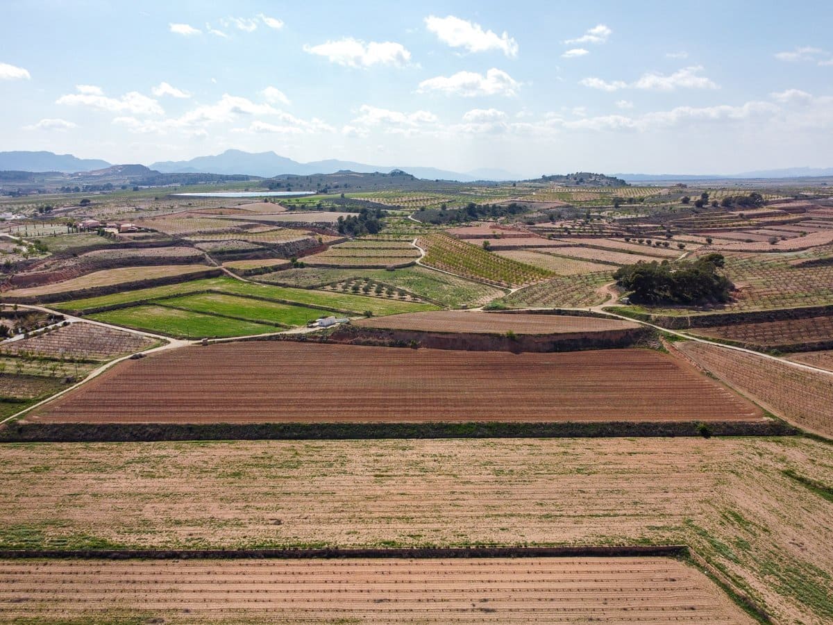 Undeveloped Land for sale in Pinoso - € 111,196 (Ref: 9730722)