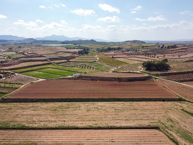 Undeveloped Land for sale in Pinoso - € 111,196 (Ref: 9730722)