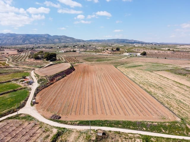 Undeveloped Land for sale in Pinoso - € 111,196 (Ref: 9730722)