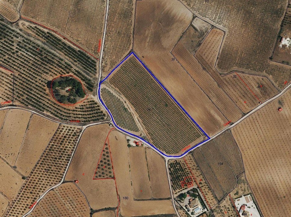 Undeveloped Land for sale in Pinoso - € 111,196 (Ref: 9730722)