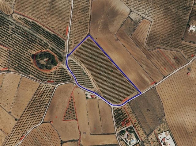 Undeveloped Land for sale in Pinoso - € 111,196 (Ref: 9730722)