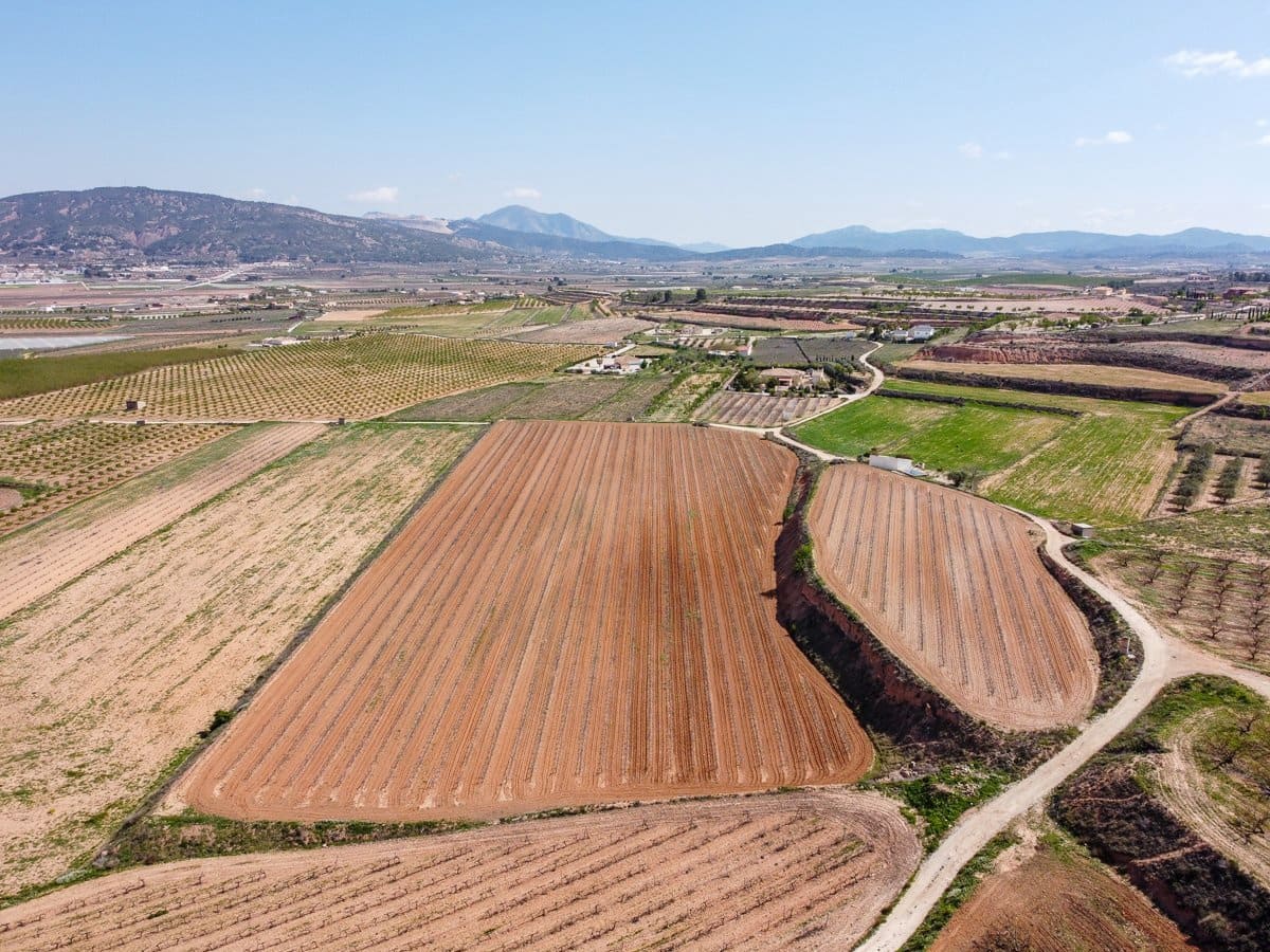 Undeveloped Land for sale in Pinoso - € 111,196 (Ref: 9730722)