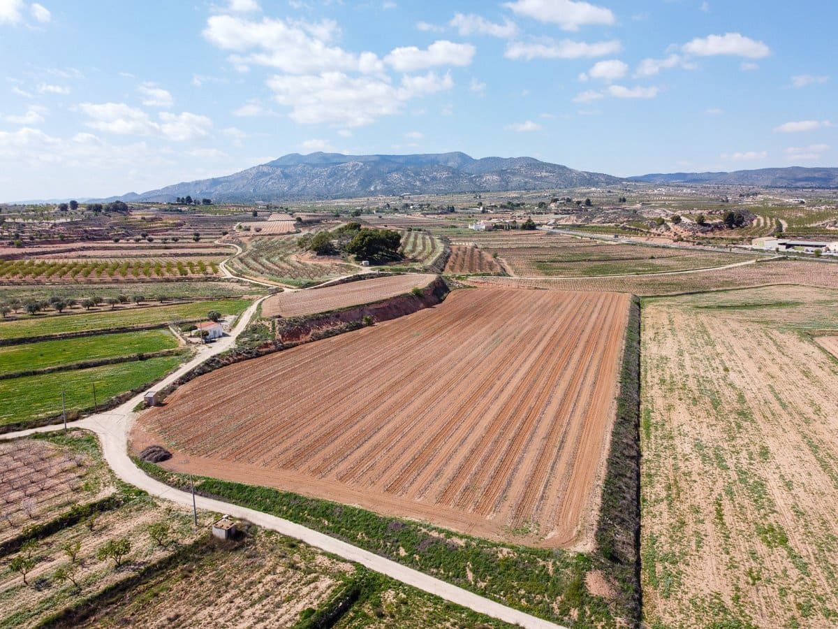 Undeveloped Land for sale in Pinoso - € 111,196 (Ref: 9730722)