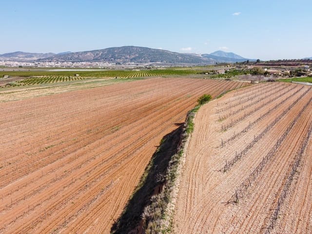 Undeveloped Land for sale in Pinoso - € 111,196 (Ref: 9730722)