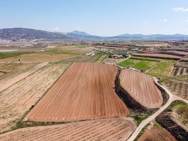 Undeveloped Land for sale in Pinoso - € 111,196 (Ref: 9730722)