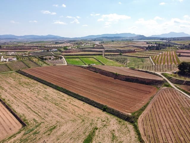 Undeveloped Land for sale in Pinoso - € 111,196 (Ref: 9730722)