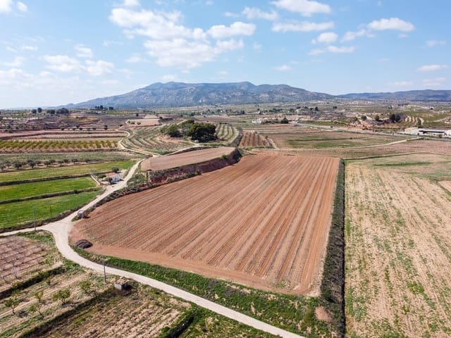 Undeveloped Land for sale in Pinoso - € 111,196 (Ref: 9730722)