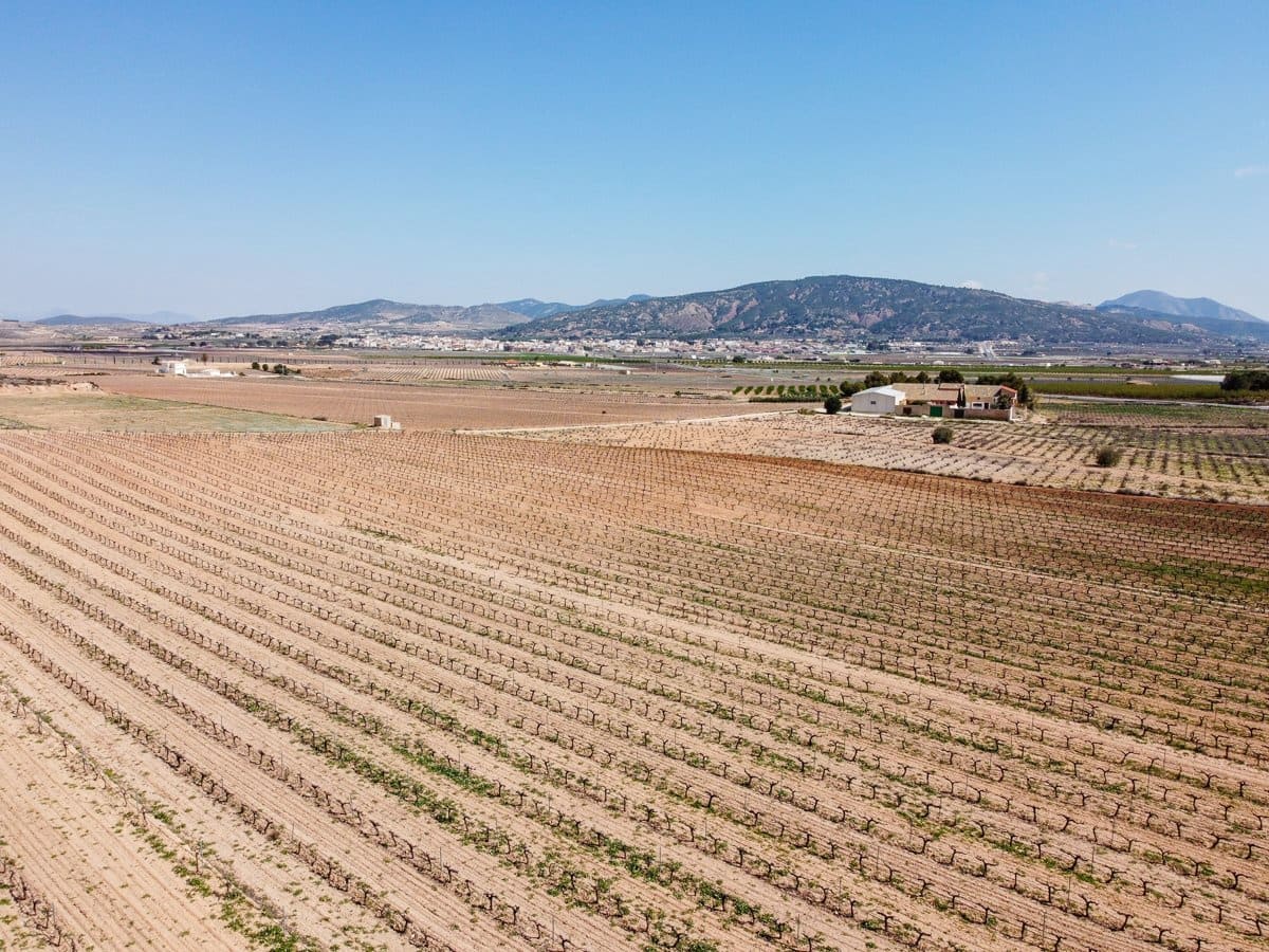 Terreno/Finca Rústica en Pinoso en venta - 200.000 € (Ref: 9730723)