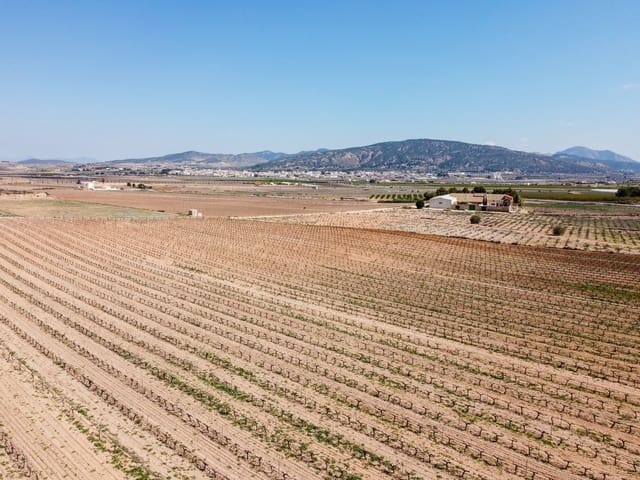 Terreno/Finca Rústica en Pinoso en venta - 200.000 € (Ref: 9730723)