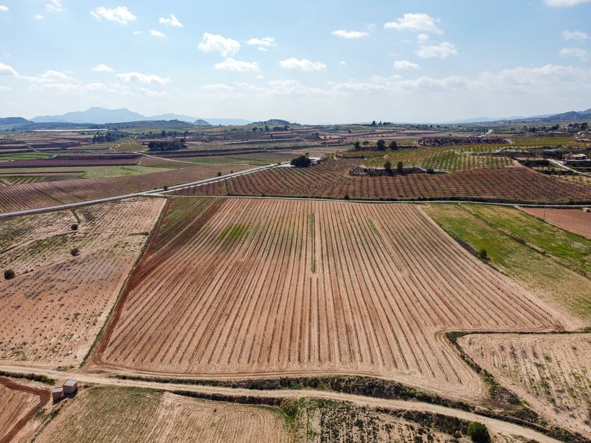 Terreno/Finca Rústica en Pinoso en venta - 200.000 € (Ref: 9730723)