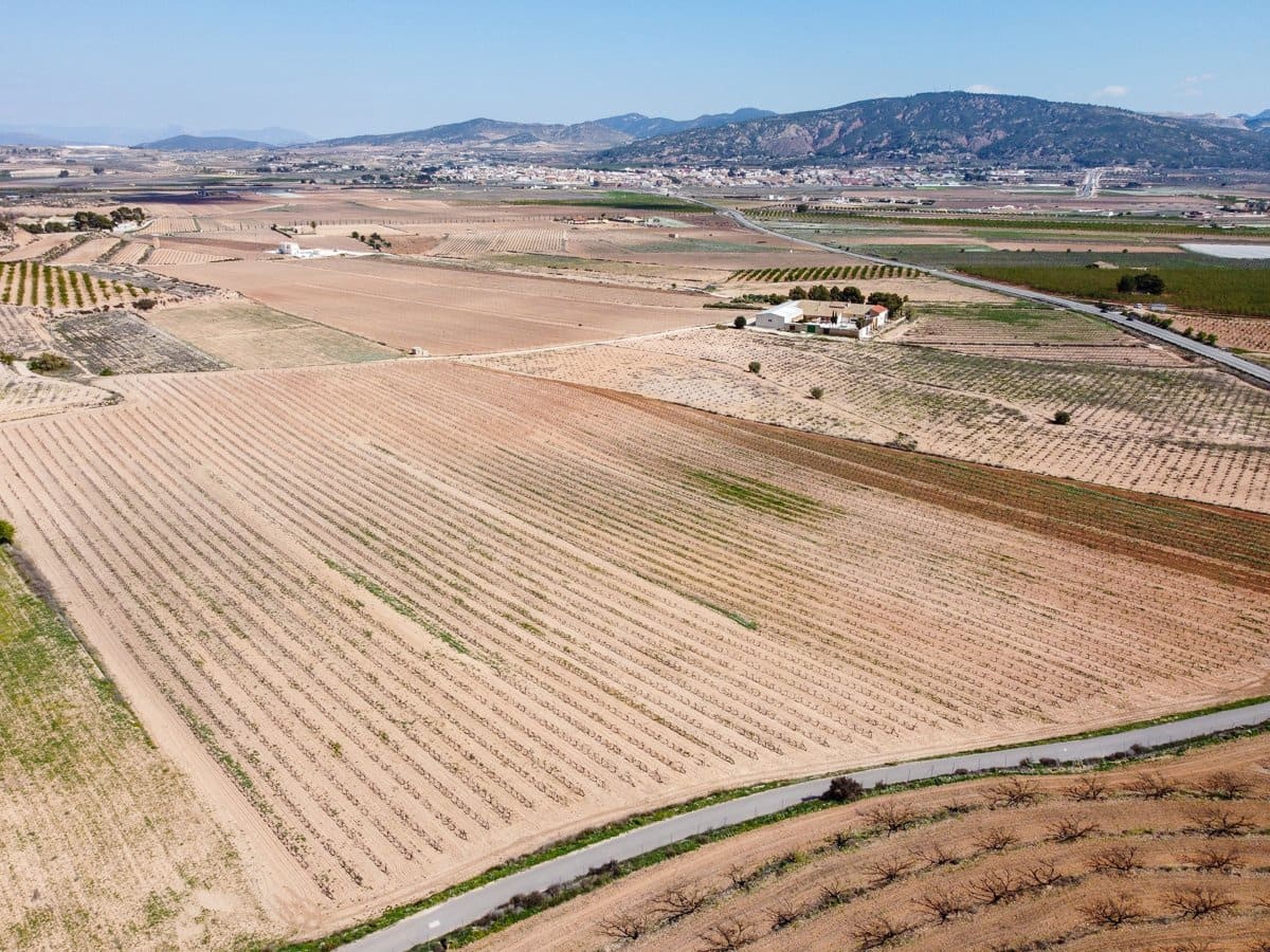 Terreno/Finca Rústica en Pinoso en venta - 200.000 € (Ref: 9730723)