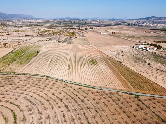 Terreno/Finca Rústica en Pinoso en venta - 200.000 € (Ref: 9730723)