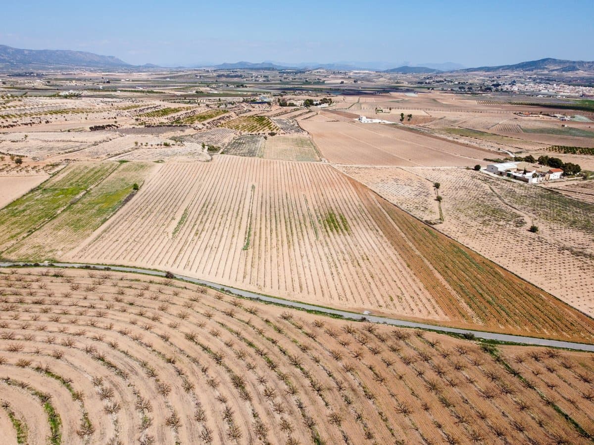 Grond te koop in Pinoso - € 200.000 (Ref: 9730723)