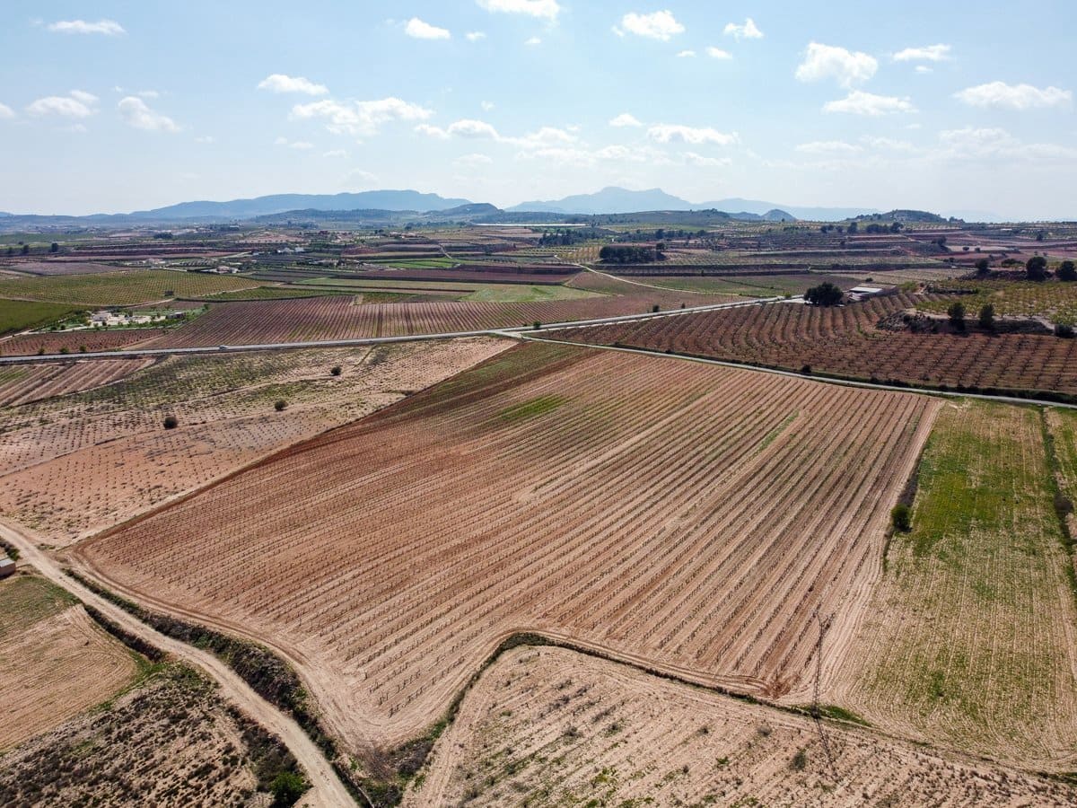 Grond te koop in Pinoso - € 200.000 (Ref: 9730723)