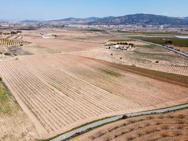 Undeveloped Land for sale in Pinoso - € 200,000 (Ref: 9730723)