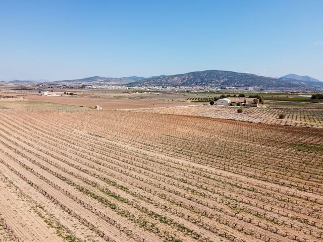 Undeveloped Land for sale in Pinoso - € 200,000 (Ref: 9730723)
