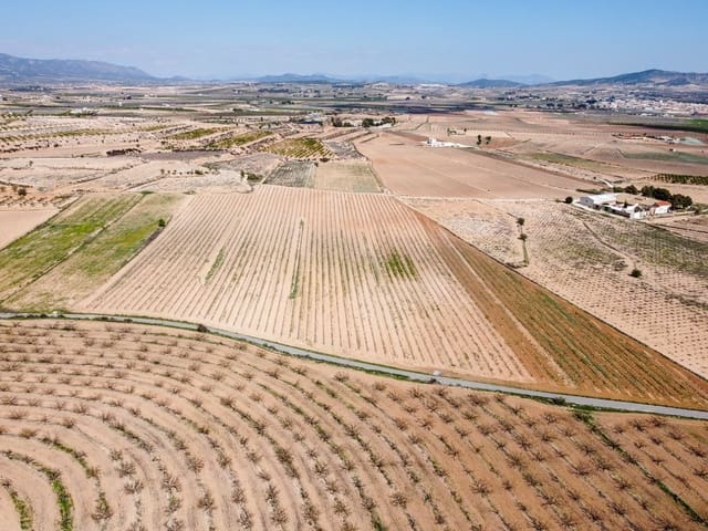 Undeveloped Land for sale in Pinoso - € 200,000 (Ref: 9730723)