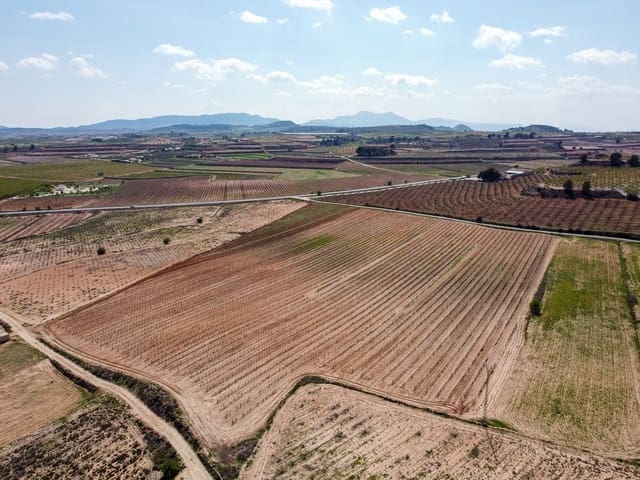 Undeveloped Land for sale in Pinoso - € 200,000 (Ref: 9730723)