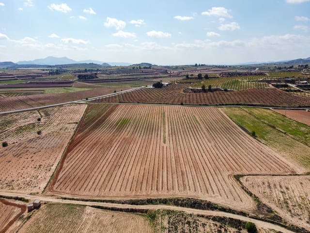 Undeveloped Land for sale in Pinoso - € 200,000 (Ref: 9730723)
