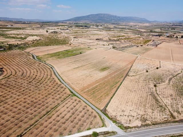 Undeveloped Land for sale in Pinoso - € 200,000 (Ref: 9730723)