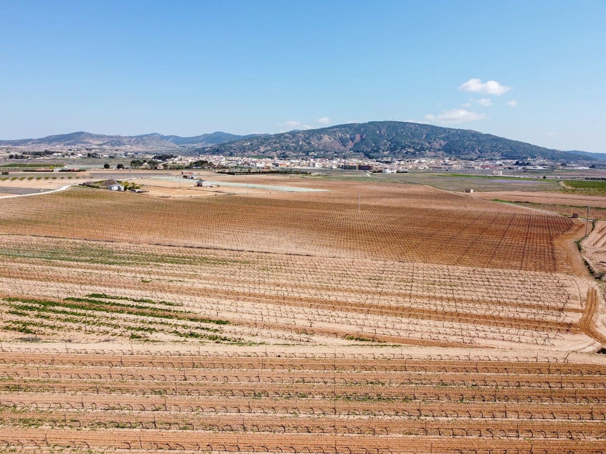 Undeveloped Land for sale in Pinoso - € 324,000 (Ref: 9730724)
