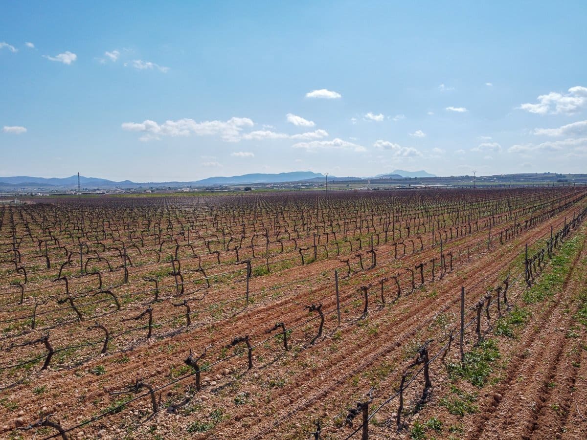 Undeveloped Land for sale in Pinoso - € 324,000 (Ref: 9730724)