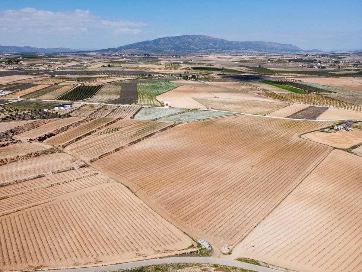 Undeveloped Land for sale in Pinoso - € 324,000 (Ref: 9730724)