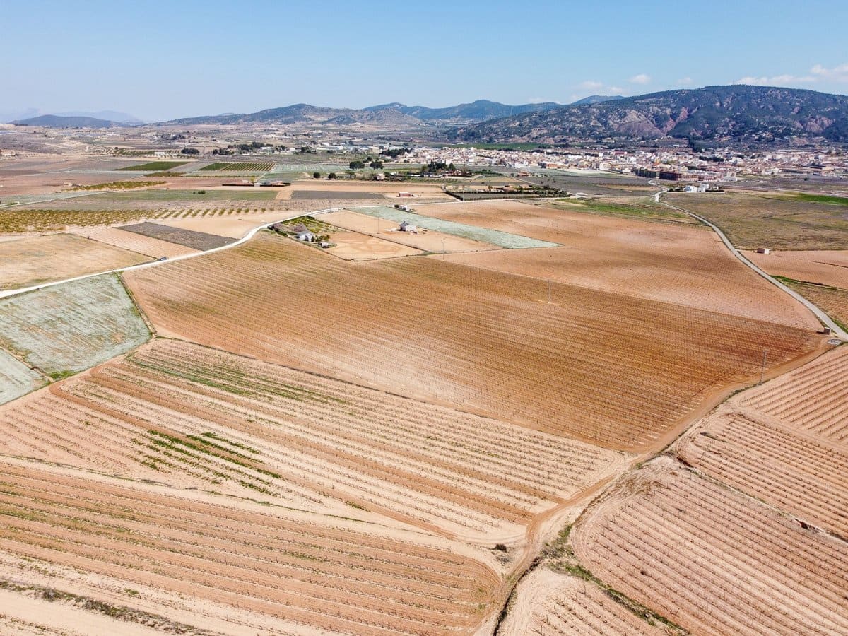 Undeveloped Land for sale in Pinoso - € 324,000 (Ref: 9730724)