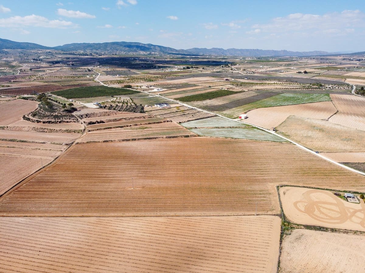 Undeveloped Land for sale in Pinoso - € 324,000 (Ref: 9730724)