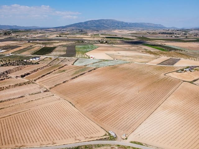 Undeveloped Land for sale in Pinoso - € 324,000 (Ref: 9730724)