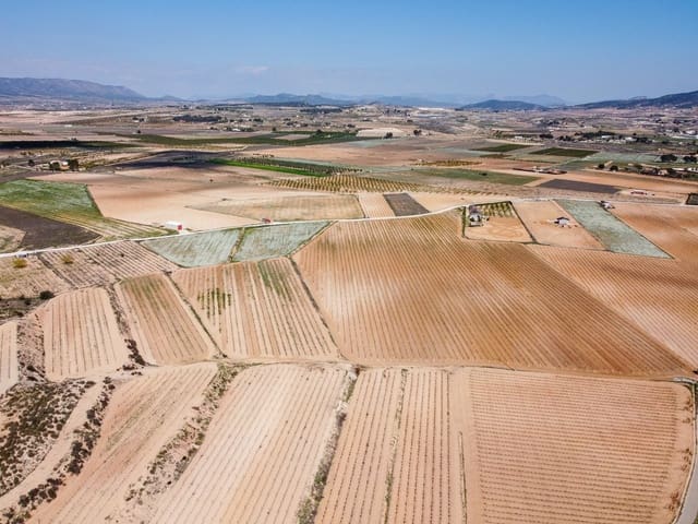 Undeveloped Land for sale in Pinoso - € 324,000 (Ref: 9730724)