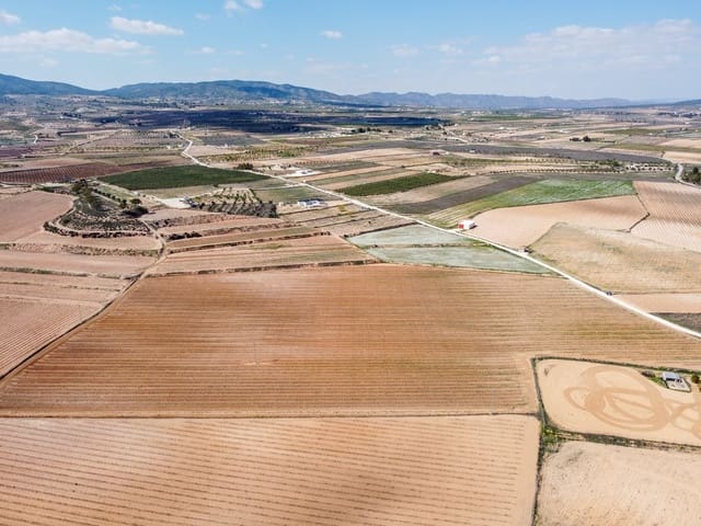 Undeveloped Land for sale in Pinoso - € 324,000 (Ref: 9730724)