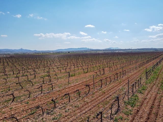 Undeveloped Land for sale in Pinoso - € 324,000 (Ref: 9730724)