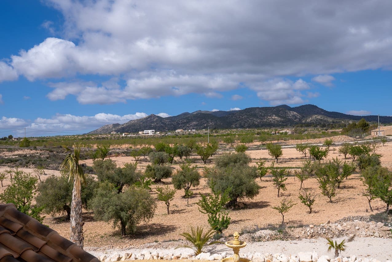 Chalet de 4 habitaciones en Pinoso en venta con piscina - 599.000 € (Ref: 9734054)