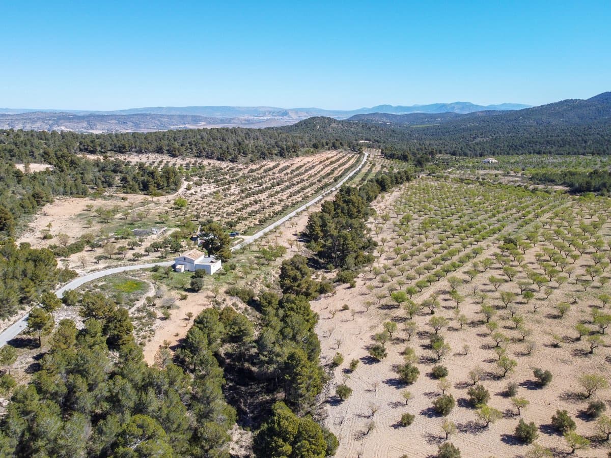 4 chambre Finca/Maison de Campagne à vendre à Villena avec piscine - 125 000 € (Ref: 9740213)