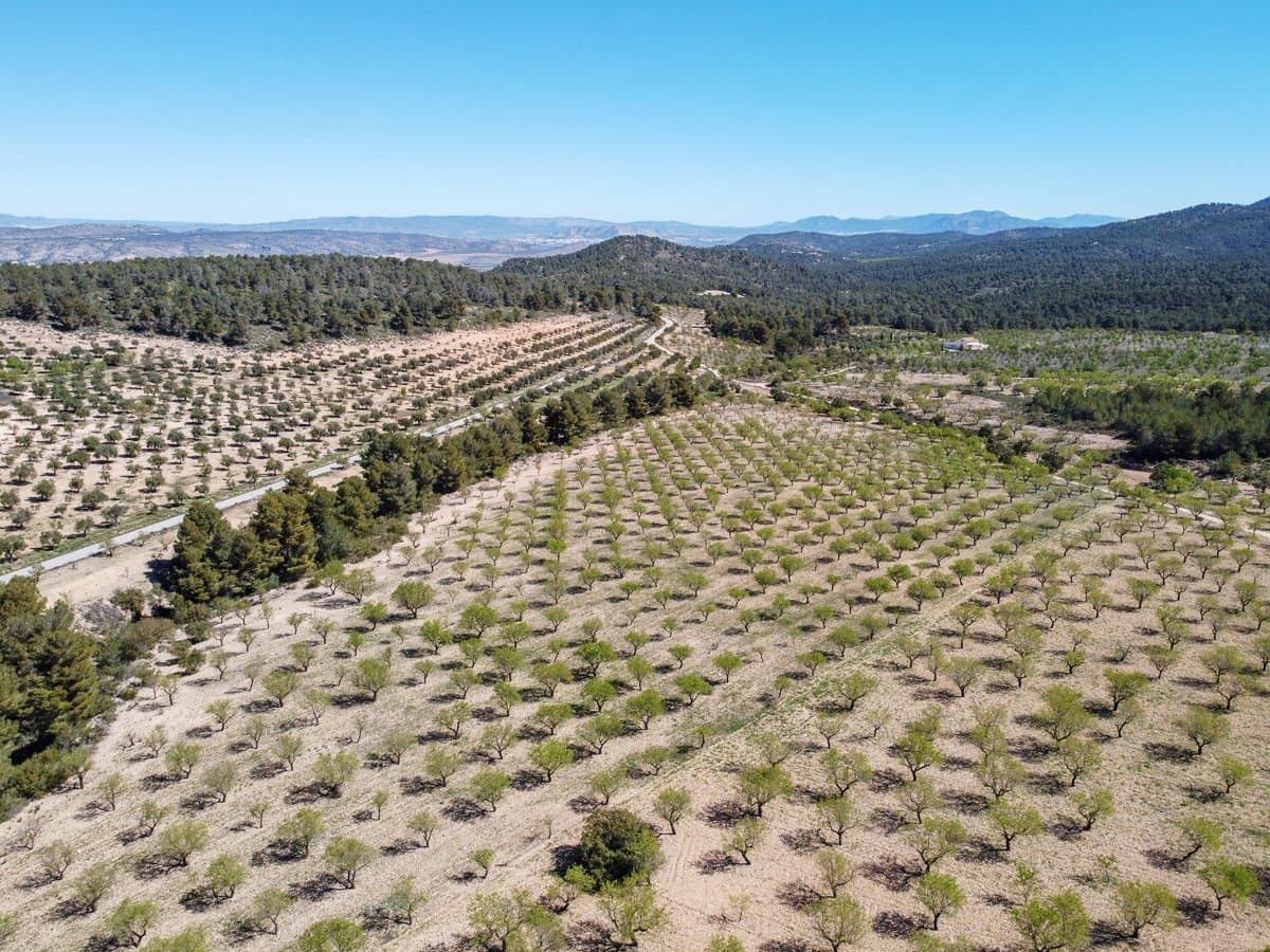 4 chambre Finca/Maison de Campagne à vendre à Villena avec piscine - 125 000 € (Ref: 9740213)