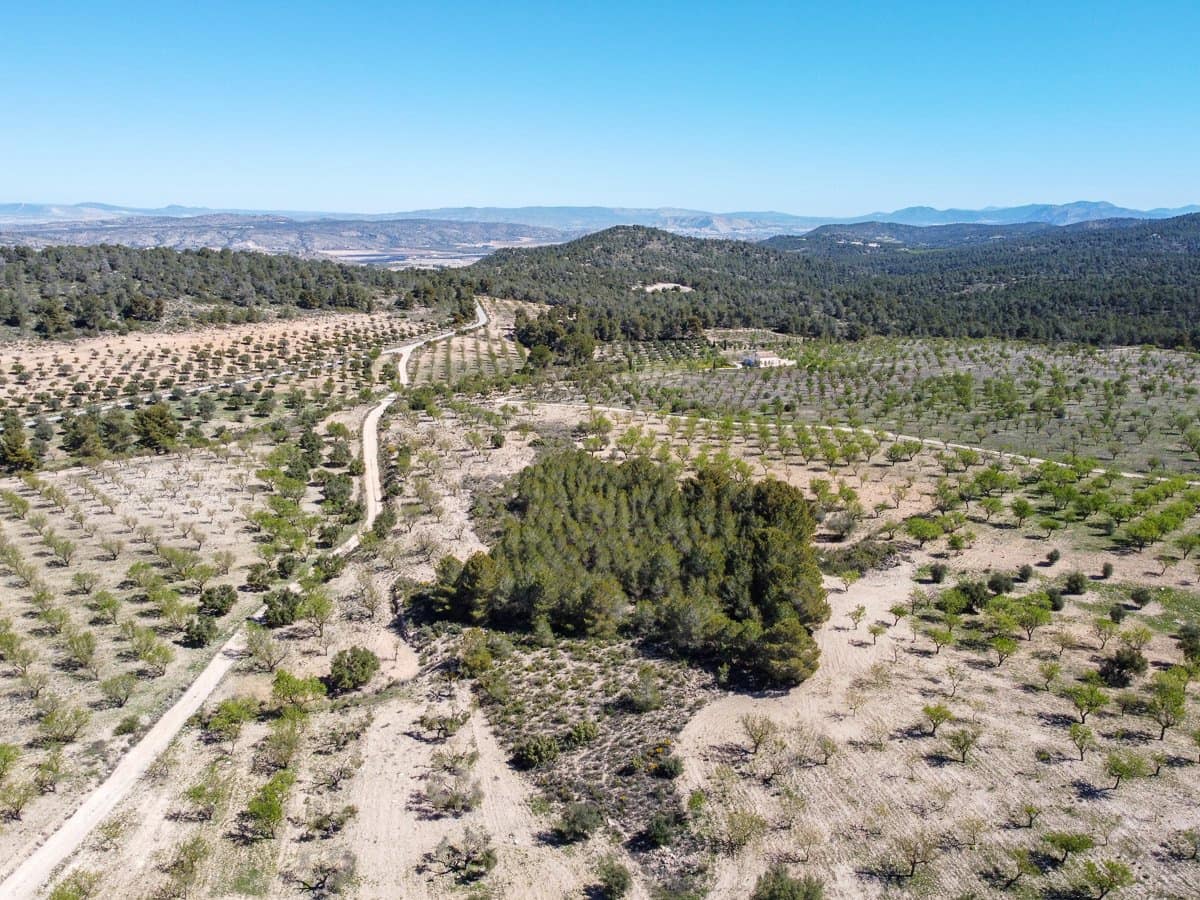 4 chambre Finca/Maison de Campagne à vendre à Villena avec piscine - 125 000 € (Ref: 9740213)