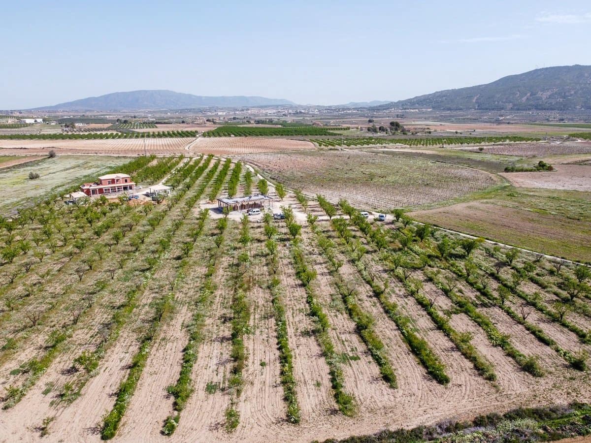 3 slaapkamer Villa te koop in Pinoso met zwembad - € 425.000 (Ref: 9758160)