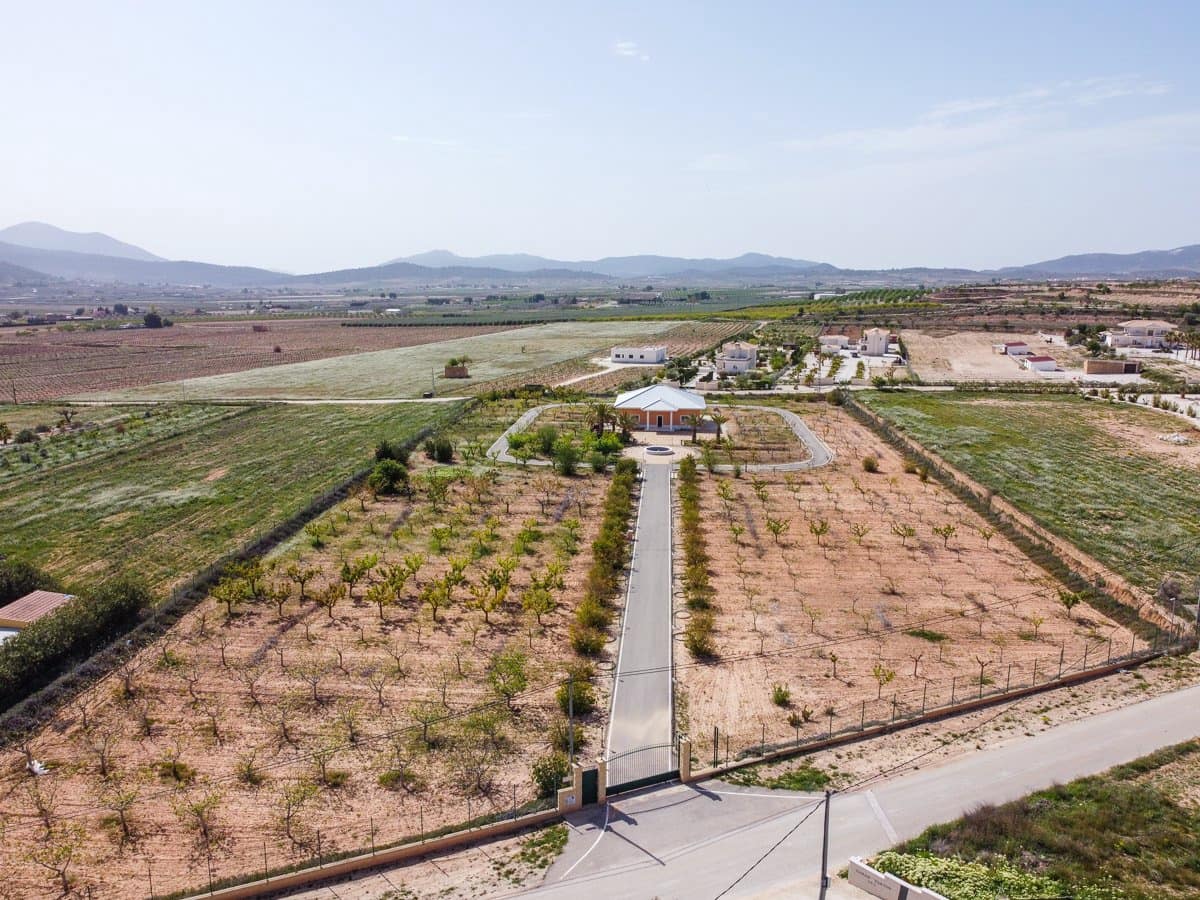 4 sypialnia Willa na sprzedaż w Pinoso z basenem - 650 000 € (Ref: 9758161)