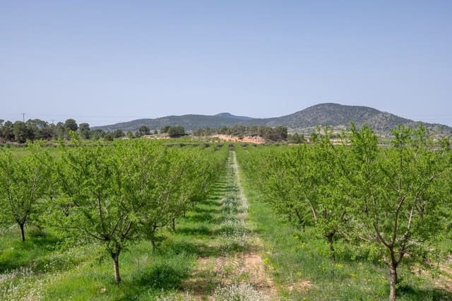 5 quarto Quinta/Casa Rural para venda em Raspay, Yecla com piscina - 299 950 € (Ref: 9782356)