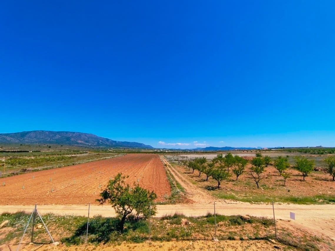 4 bedroom Villa for sale in Pinoso with pool - € 210,000 (Ref: 9795637)