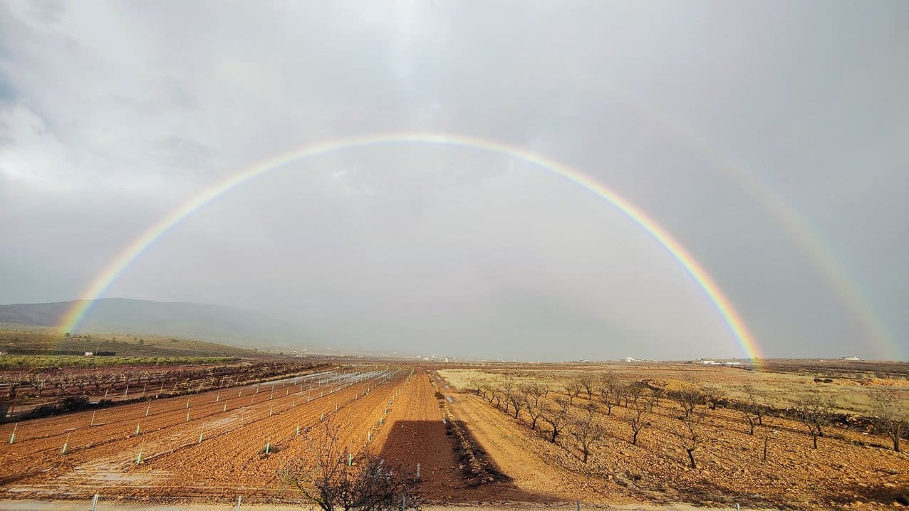 4 bedroom Villa for sale in Pinoso with pool - € 210,000 (Ref: 9795637)