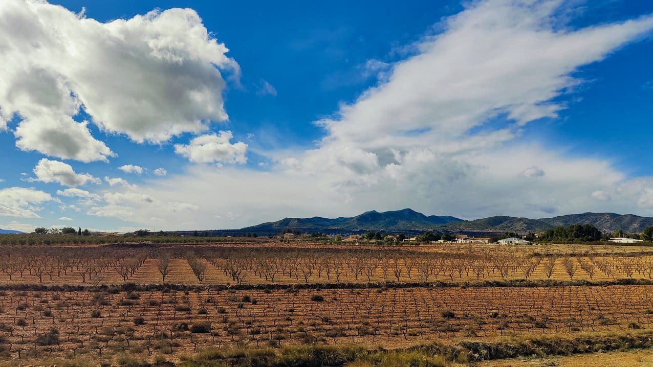 4 bedroom Villa for sale in Pinoso with pool - € 210,000 (Ref: 9795637)